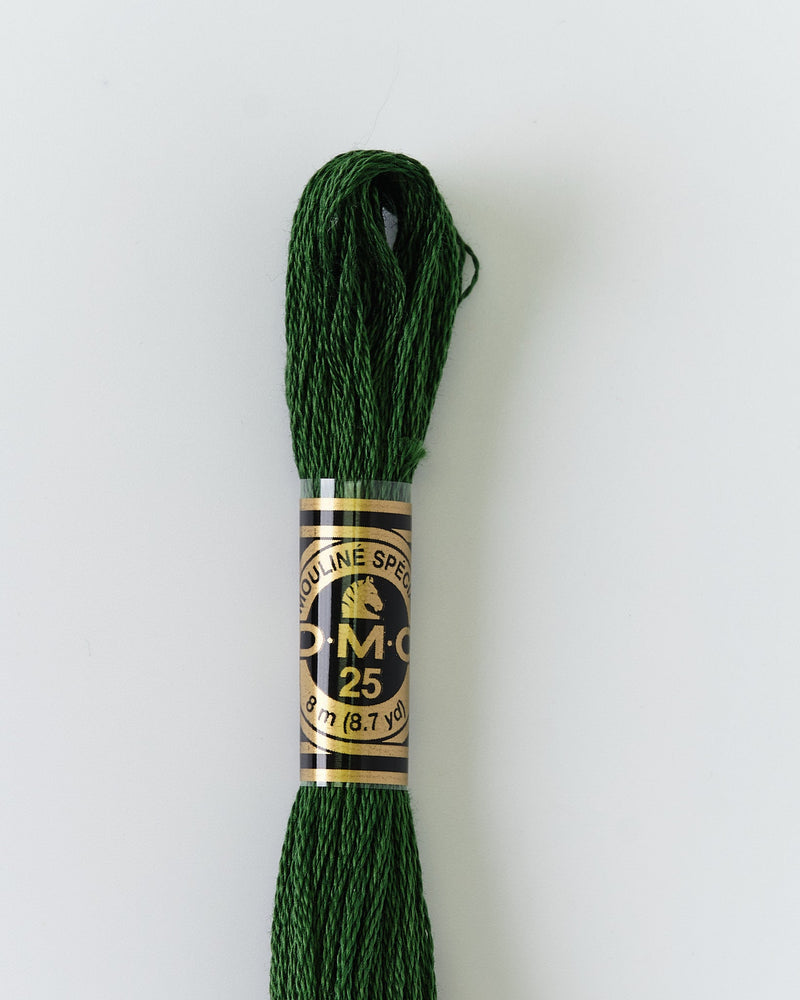 DMC Embroidery Stranded Thread - Six-Strand Embroidery Floss - 895 - Bottle Green - HM Nabavian
