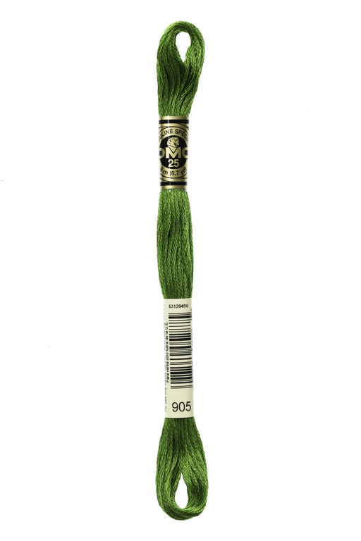 DMC Embroidery Stranded Thread - Six-Strand Embroidery Floss - 905 - Budgie Green - HM Nabavian