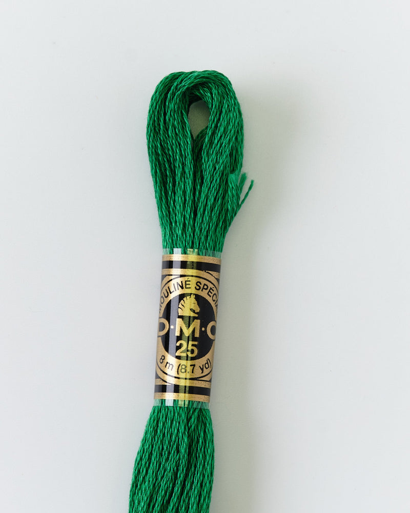 DMC Embroidery Stranded Thread - Six-Strand Embroidery Floss - 910 - English Green - HM Nabavian