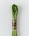 DMC Embroidery Stranded Thread - Six-Strand Embroidery Floss - 92 - Foliage Green Ombre - HM Nabavian