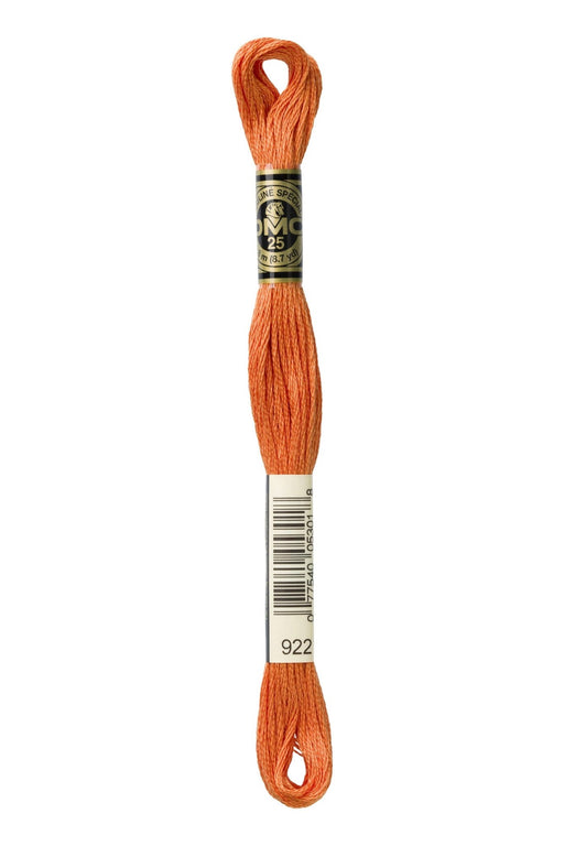 DMC Embroidery Stranded Thread - Six-Strand Embroidery Floss - 922 - Terracotta - HM Nabavian
