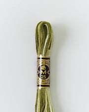 DMC Embroidery Stranded Thread - Six-Strand Embroidery Floss - 94 - Moss Green Ombre - HM Nabavian