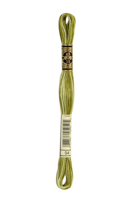 DMC Embroidery Stranded Thread - Six-Strand Embroidery Floss - 94 - Moss Green Ombre - HM Nabavian