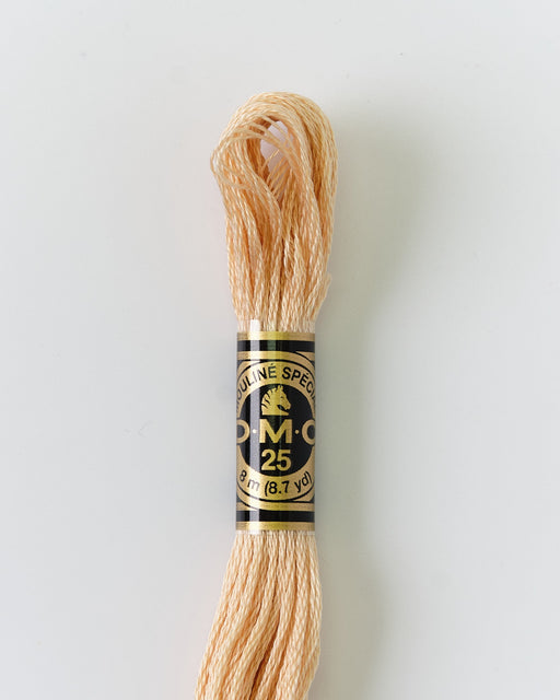 DMC Embroidery Stranded Thread - Six-Strand Embroidery Floss - 945 - Champagne - HM Nabavian