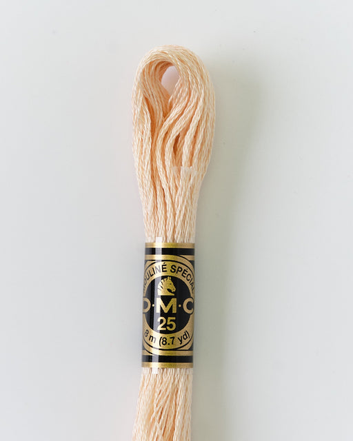 DMC Embroidery Stranded Thread - Six-Strand Embroidery Floss - 948 - Himalayan Salt - HM Nabavian