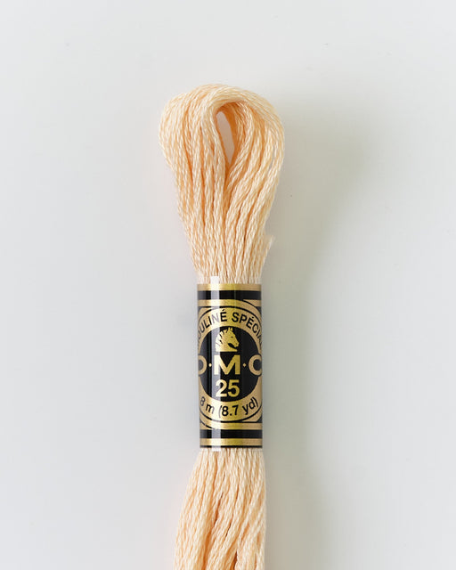 DMC Embroidery Stranded Thread - Six-Strand Embroidery Floss - 951 - Cashmere Beige - HM Nabavian