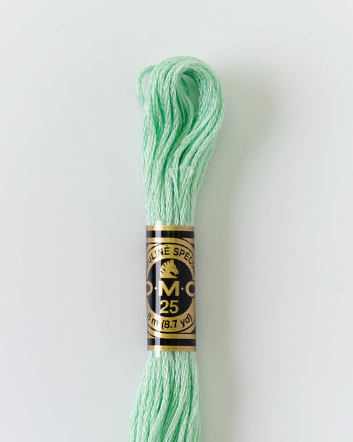 DMC Embroidery Stranded Thread - Six-Strand Embroidery Floss - 955 - Pale Green - HM Nabavian