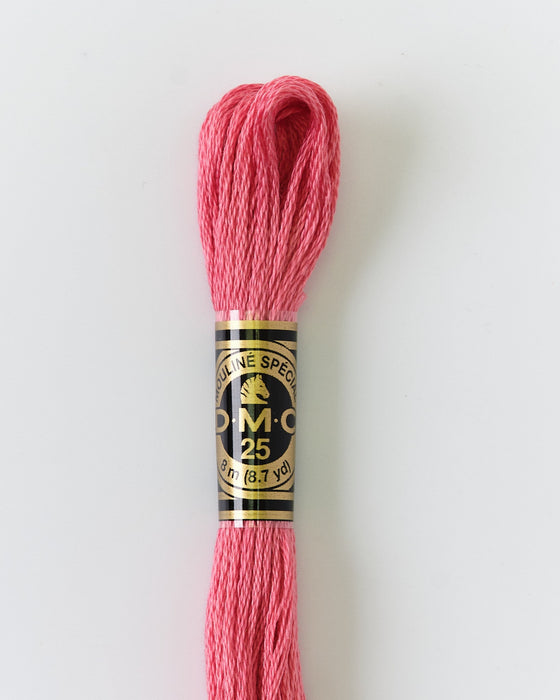 DMC Embroidery Stranded Thread - Six-Strand Embroidery Floss - 961 - Rose Garden - HM Nabavian