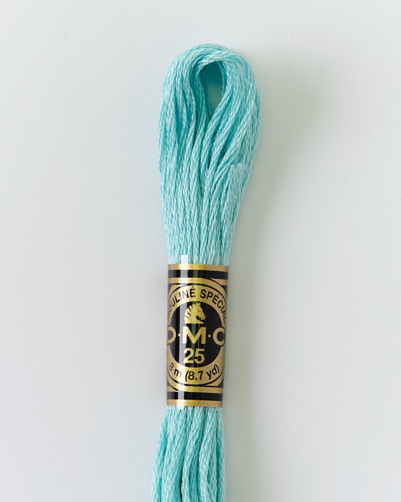DMC Embroidery Stranded Thread - Six-Strand Embroidery Floss - 964 - Sea Green - HM Nabavian