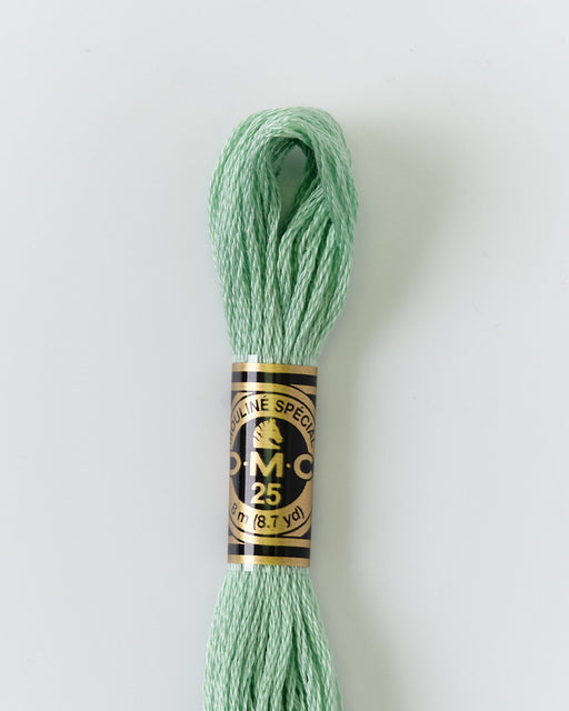 DMC Embroidery Stranded Thread - Six-Strand Embroidery Floss - 966 - Pearlescent Soft Green - HM Nabavian