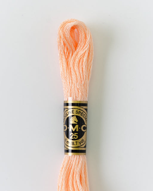 DMC Embroidery Stranded Thread - Six-Strand Embroidery Floss - 967 - Pearlescent Tutu - HM Nabavian