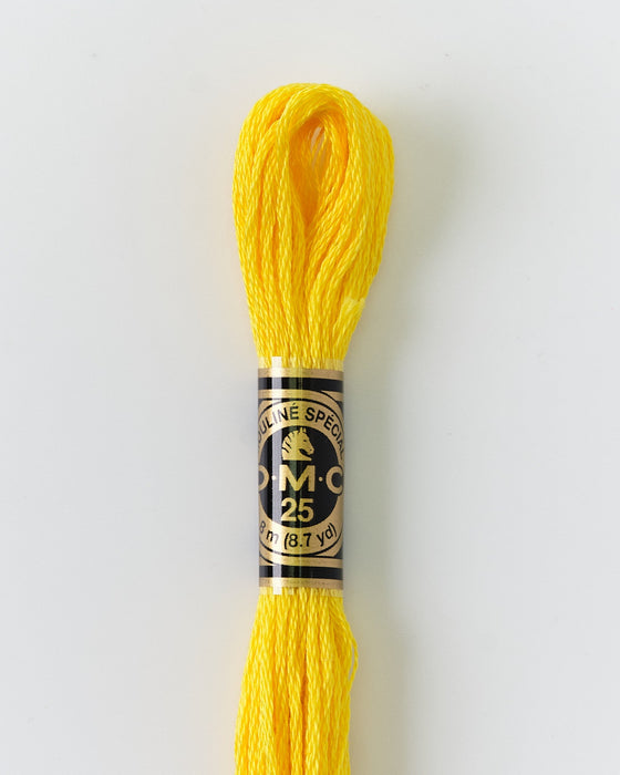 DMC Embroidery Stranded Thread - Six-Strand Embroidery Floss - 973 - Daffodil - HM Nabavian