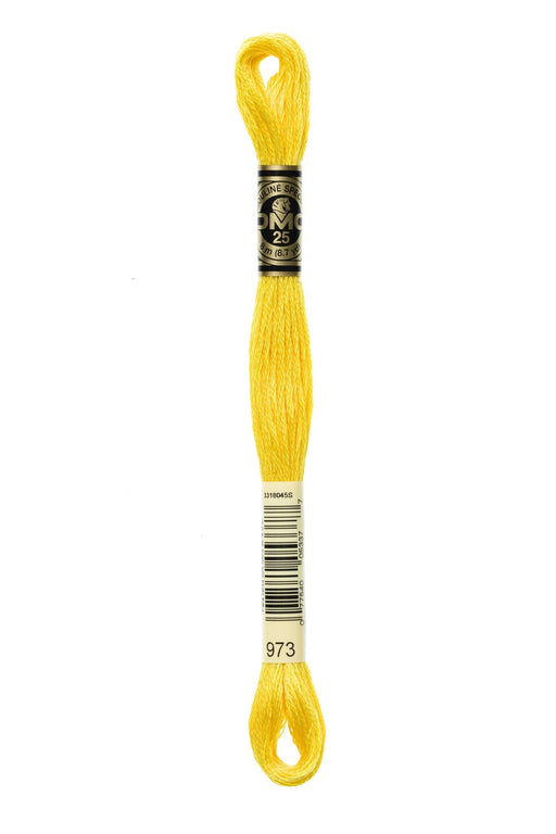 DMC Embroidery Stranded Thread - Six-Strand Embroidery Floss - 973 - Daffodil - HM Nabavian