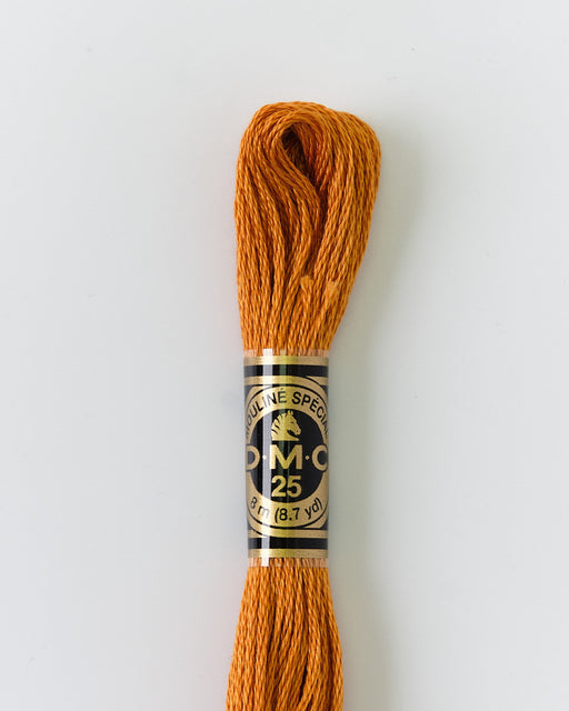 DMC Embroidery Stranded Thread - Six-Strand Embroidery Floss - 976 - Nutmeg - HM Nabavian