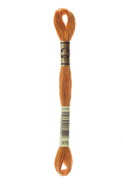 DMC Embroidery Stranded Thread - Six-Strand Embroidery Floss - 976 - Nutmeg - HM Nabavian