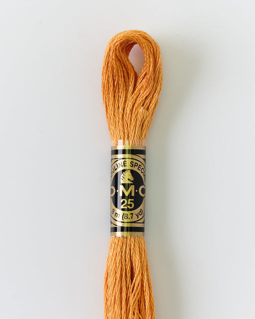 DMC Embroidery Stranded Thread - Six-Strand Embroidery Floss - 977 - Caramel - HM Nabavian