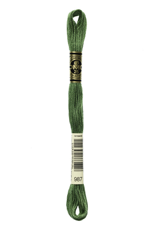 DMC Embroidery Stranded Thread - Six-Strand Embroidery Floss - 987 - Basil - HM Nabavian