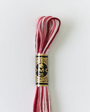 DMC Embroidery Stranded Thread - Six-Strand Embroidery Floss - 99 - Redouté Rose Ombre - HM Nabavian