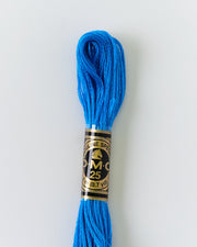 DMC Embroidery Stranded Thread - Six-Strand Embroidery Floss - 995 - Plunge pool - HM Nabavian