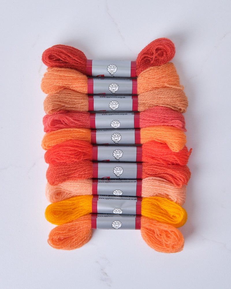 Oranges - Appeltons Crewel Woll2 Ply Bundle - HM Nabavian