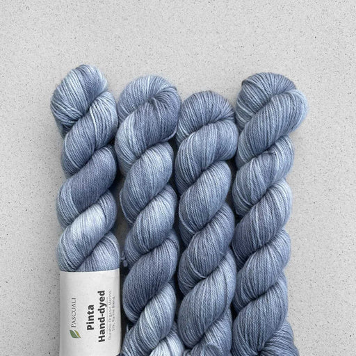 Pinta Hand - Dyed | Merino, Silk & Ramie Yarn - by Pascuali - HM Nabavian