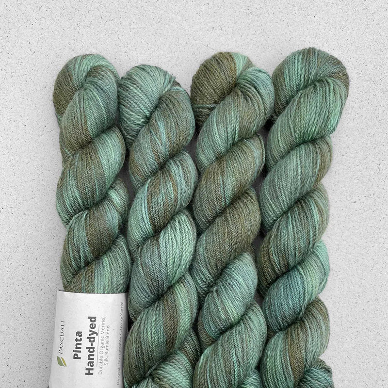 Pinta Hand - Dyed | Merino, Silk & Ramie Yarn - by Pascuali - HM Nabavian