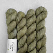 Pinta Hand - Dyed | Merino, Silk & Ramie Yarn - by Pascuali - HM Nabavian