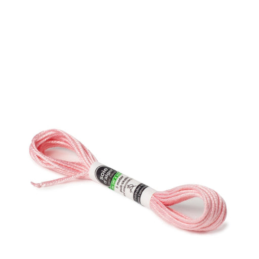 Soie d’Alger Embroidery Silk – "3870 - 3880" Shades 3870–3880 | Au Ver à Soie - HM Nabavian