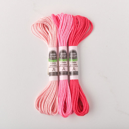 Soie d’Alger Embroidery Silk – "3870 - 3880" Shades 3870–3880 | Au Ver à Soie - HM Nabavian