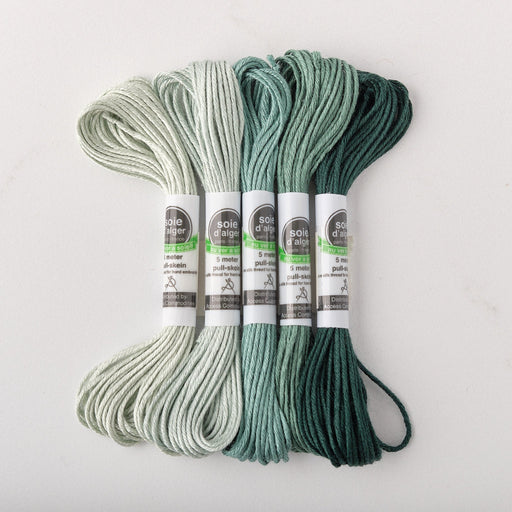 Soie d’Alger Embroidery Silk – "Bleu de Mer" Shades 5021–5025 | Au Ver à Soie - HM Nabavian