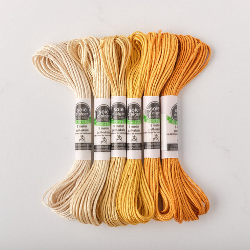 Soie d’Alger Embroidery Silk – "Bleu" Shades 2541–2545 | Au Ver à Soie - HM Nabavian