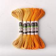 Soie d’Alger Embroidery Silk – "Capucine" Shades 621–625 | Au Ver à Soie - HM Nabavian