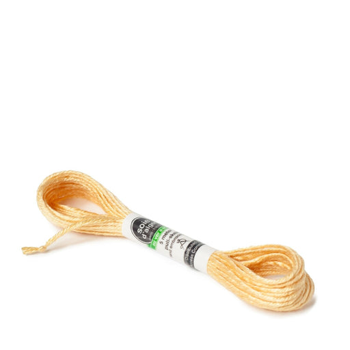 Soie d’Alger Embroidery Silk – "Capucine" Shades 621–625 | Au Ver à Soie - HM Nabavian