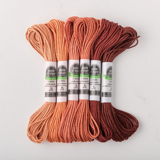 Soie d’Alger Embroidery Silk – "Cendress de Rose" Shades 4611–4616 | Au Ver à Soie - HM Nabavian