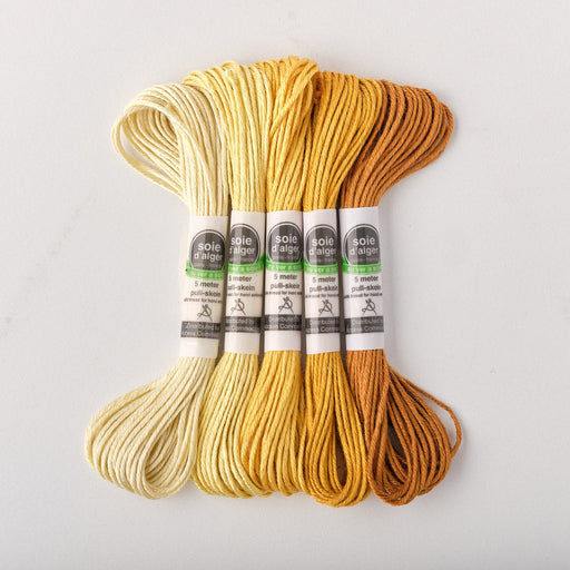 Soie d’Alger Embroidery Silk – "Cuivre" Shades 2511–2516 | Au Ver à Soie - HM Nabavian