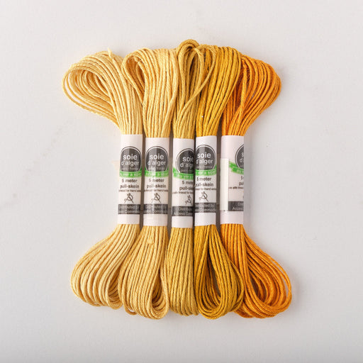 Soie d’Alger Embroidery Silk – "Epi" Shades 2531–2536 | Au Ver à Soie - HM Nabavian