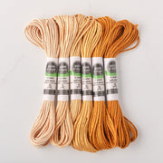 Soie d’Alger Embroidery Silk – "Fauve" Shades 4221–4226 | Au Ver à Soie - HM Nabavian