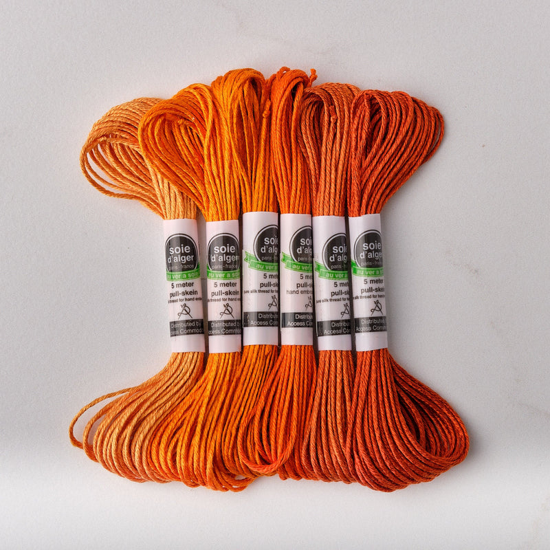 Soie d’Alger Embroidery Silk – "Feu" Shades 611–616 | Au Ver à Soie - HM Nabavian