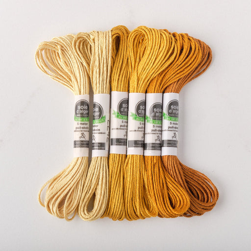 Soie d’Alger Embroidery Silk – "Feuilles Mortes" Shades 2241–2246 | Au Ver à Soie - HM Nabavian