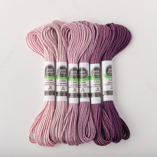 Soie d’Alger Embroidery Silk – "Iris" Shades 5111–5116 | Au Ver à Soie - HM Nabavian