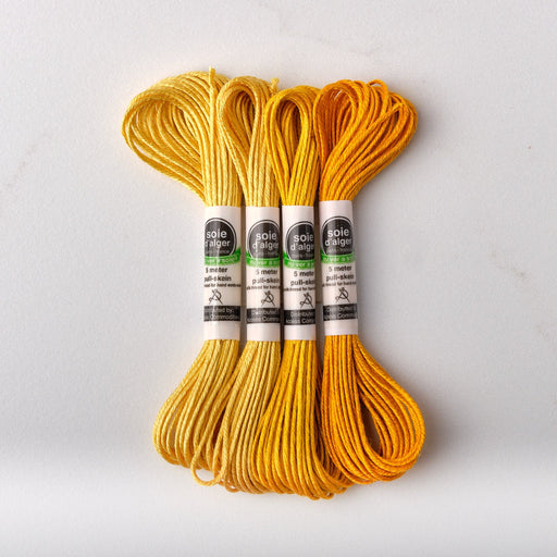 Soie d’Alger Embroidery Silk – "Mais Rouge" Shades 542–545 | Au Ver à Soie - HM Nabavian