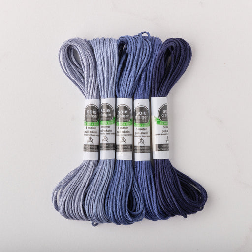 Soie d’Alger Embroidery Silk – "Marine" Shades 1421–1426 | Au Ver à Soie - HM Nabavian