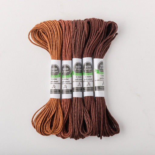 Soie d’Alger Embroidery Silk – "Marron" Shades 4122–4126 | Au Ver à Soie - HM Nabavian