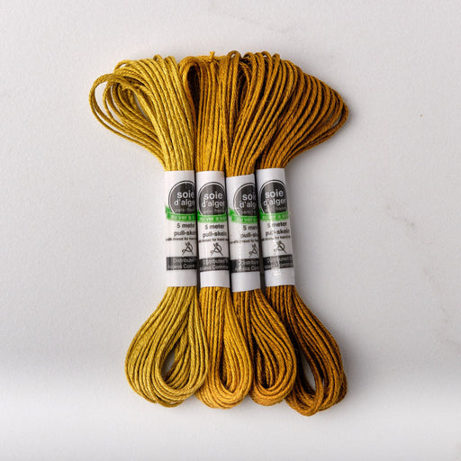 Soie d’Alger Embroidery Silk – "Olive" Shades 523–526 | Au Ver à Soie - HM Nabavian