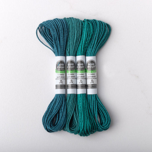 Soie d’Alger Embroidery Silk – "Paon" Shades 202–206 | Au Ver à Soie - HM Nabavian