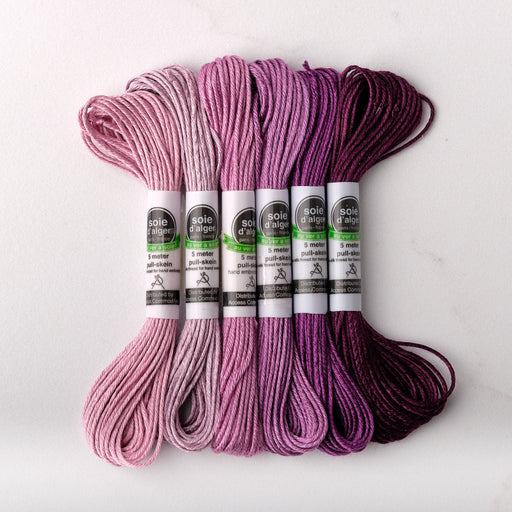 Soie d’Alger Embroidery Silk – "Pensee" Shades 1311–1316 | Au Ver à Soie - HM Nabavian