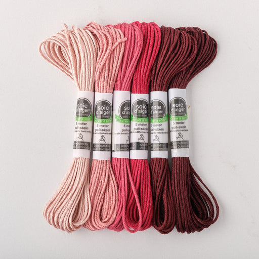 Soie d’Alger Embroidery Silk – "Prune" Shades 4621–4626 | Au Ver à Soie - HM Nabavian