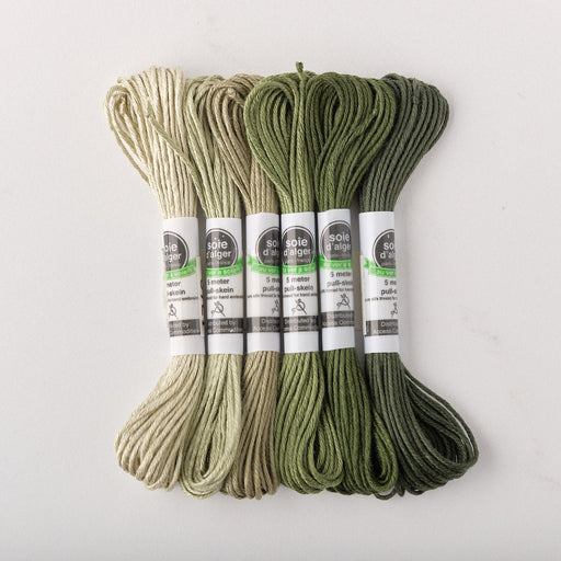 Soie d’Alger Embroidery Silk – "Reseda" Shades 3732–3736 | Au Ver à Soie - HM Nabavian