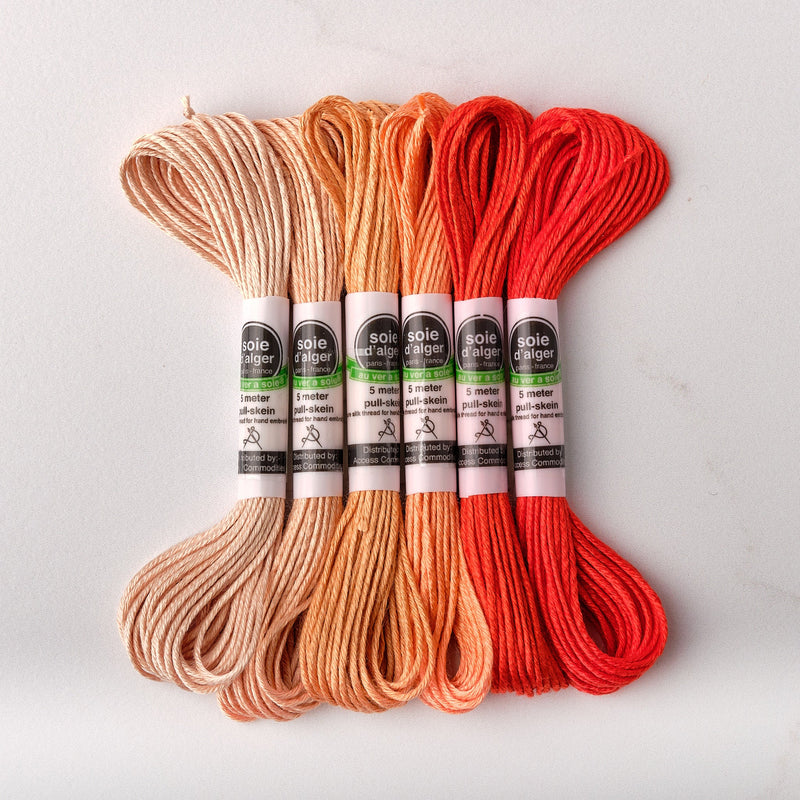 Soie d’Alger Embroidery Silk – "Saumon" Shades 641–646 | Au Ver à Soie - HM Nabavian