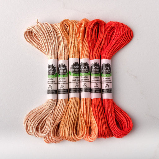 Soie d’Alger Embroidery Silk – "Saumon" Shades 641–646 | Au Ver à Soie - HM Nabavian